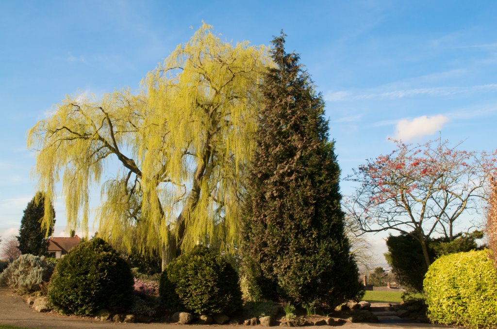 Hollycroft Park, Hinckley
