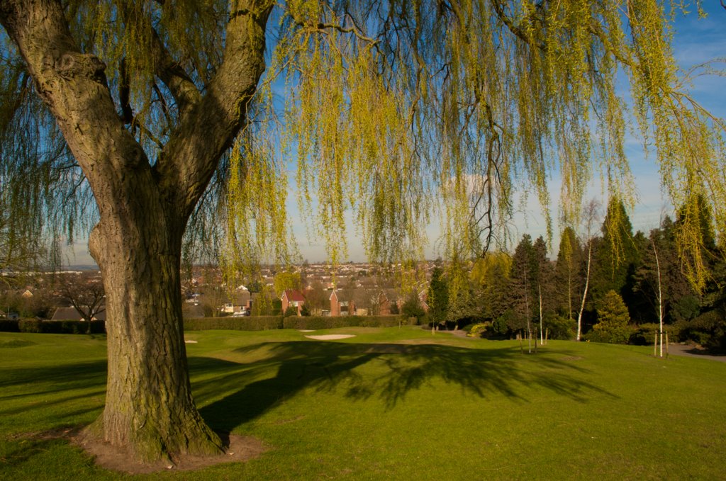 Hollycroft Park, Hinckley