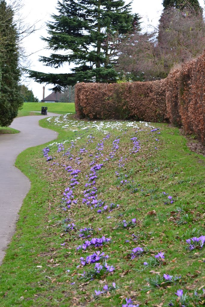 Spring 2011