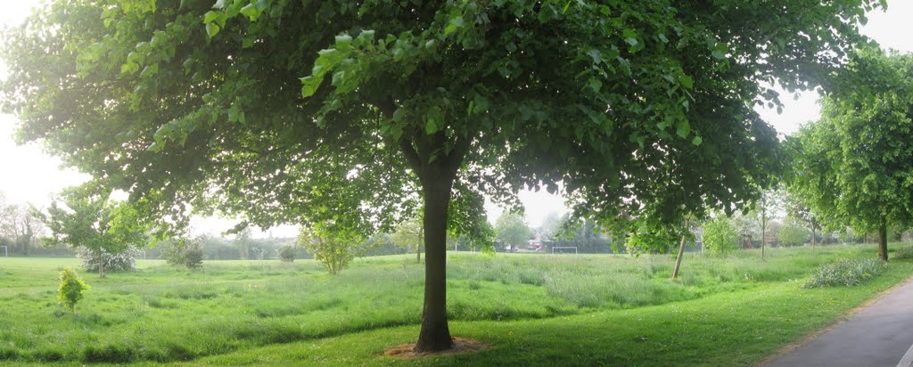 Clarendon Park