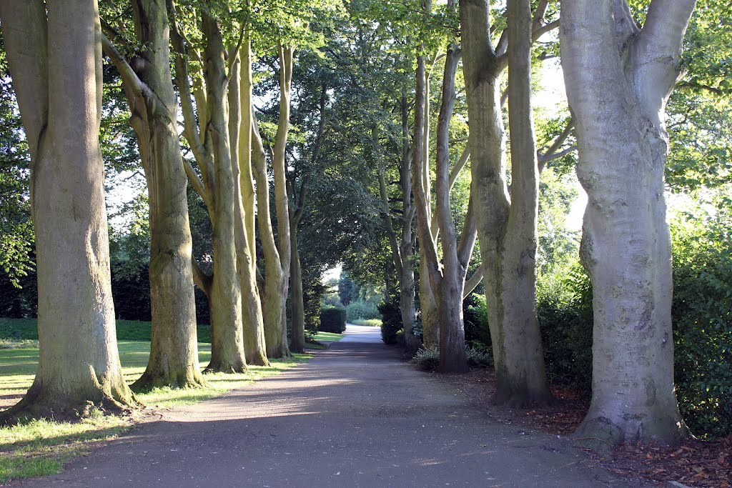 Hollycroft Park