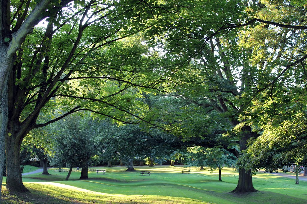 Hollycroft Park