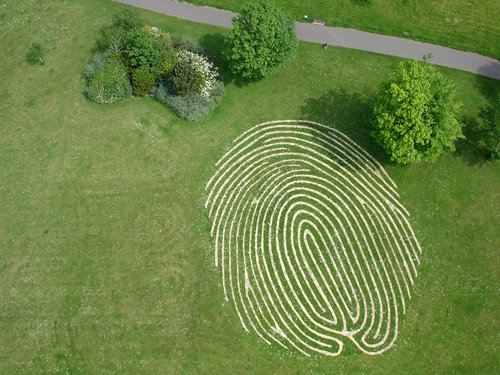 Hove Park Fingerprint Maze