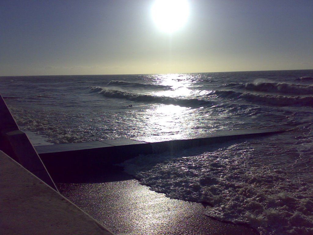 The beach at Hove