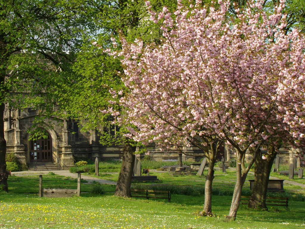 Ecclesfield church grounds in spring, Sheffield S35