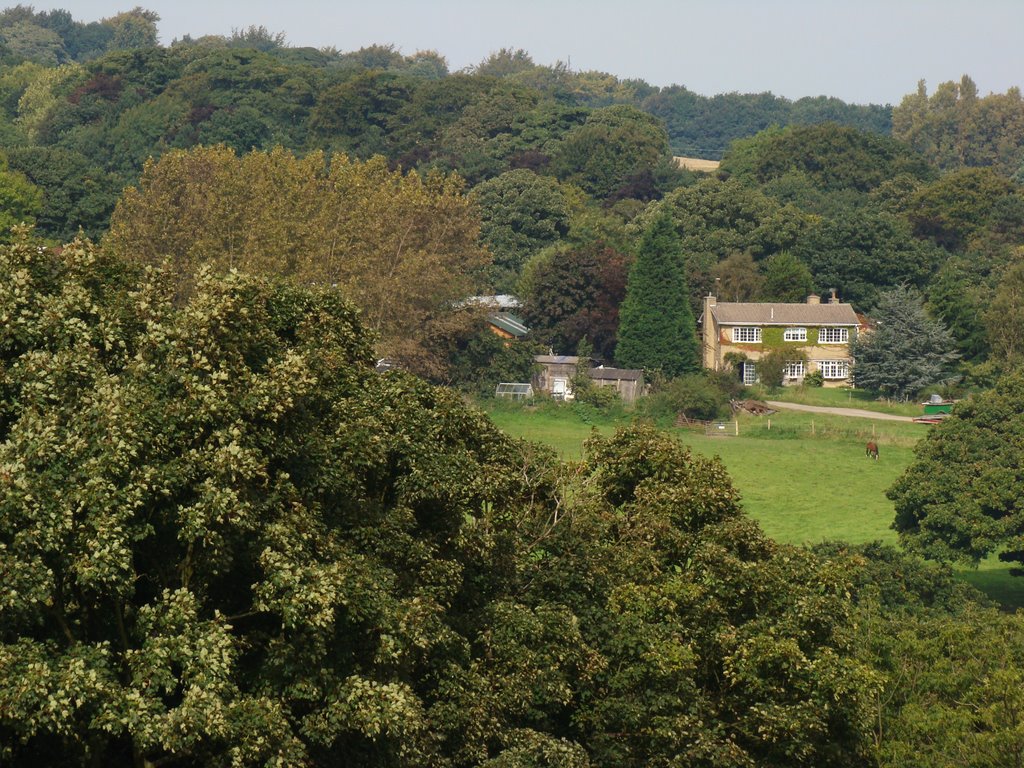 Looking towards Whitley, Sheffield S35