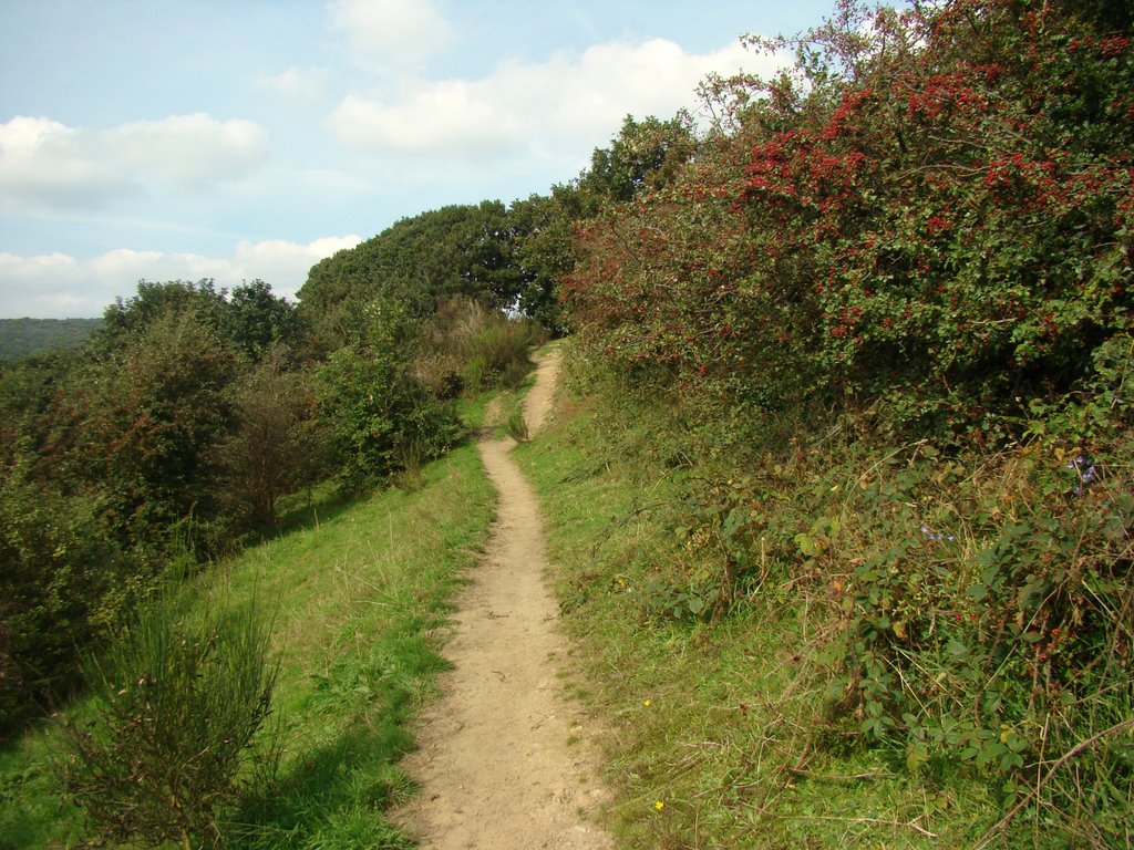 Public footpath leading to Lee Shrogs Wood, Ecclesfield, Sheffield S35