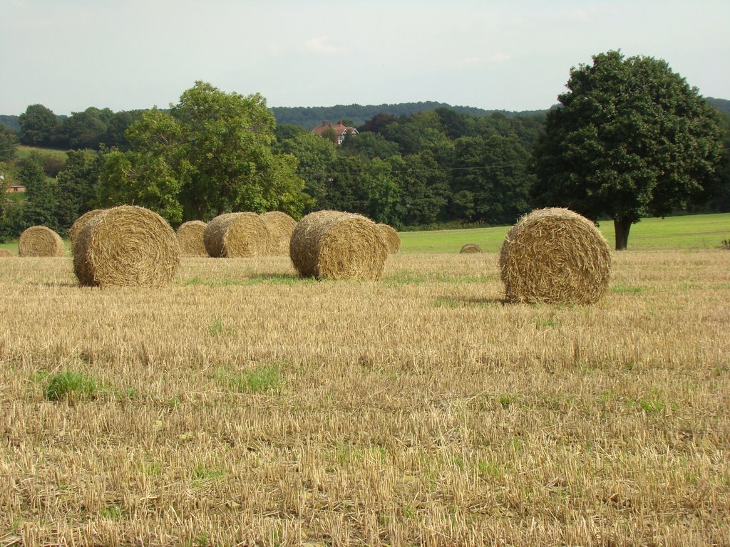 Bales of Hay, Ecclesfield, Sheffield S35
