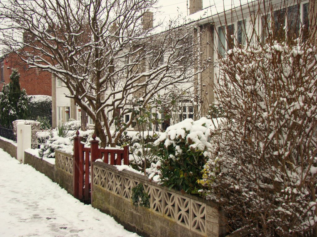 Snowy front gardens, Church Street, Ecclesfield, Sheffield S35