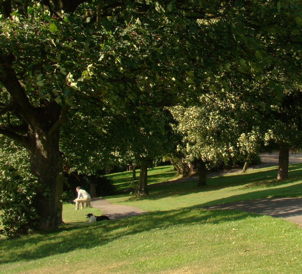 One man and his dog admiring the view from Chapeltown Park, Sheffield S35
