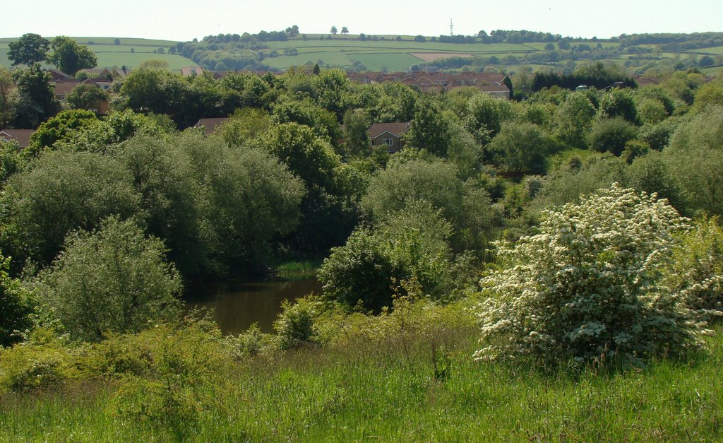 High Green countryside, Sheffield S35