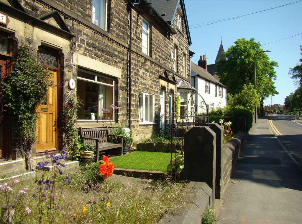 Front gardens on Mortomley Lane, High Green, Sheffield S35