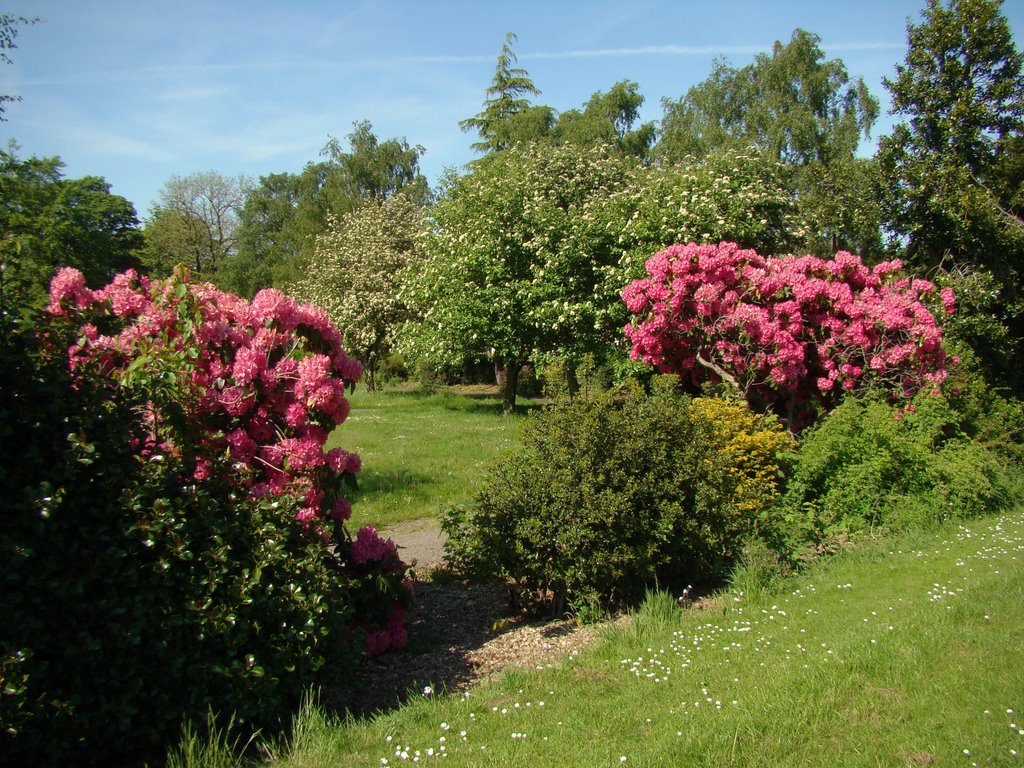 Mortomley Park in spring, High Green, Sheffield S35