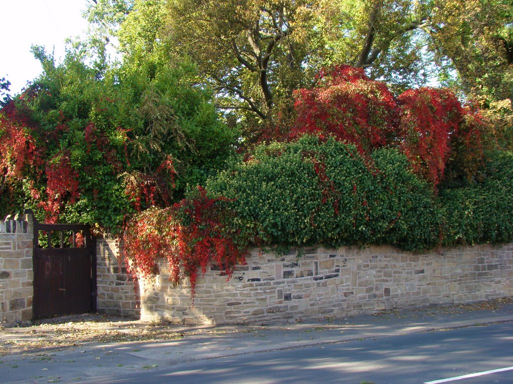 Autumn cascade, Church Street, Ecclesfield, Sheffield S35