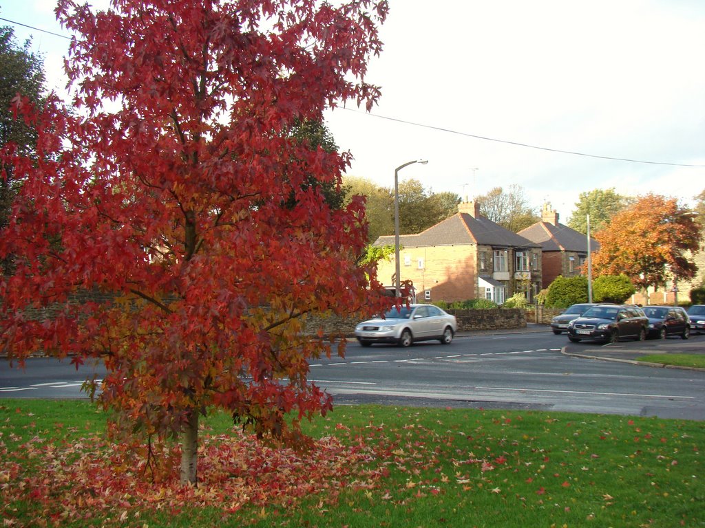 Autumn colours at the junction of Church Street and Mill Road, Ecclesfield, Sheffield S35