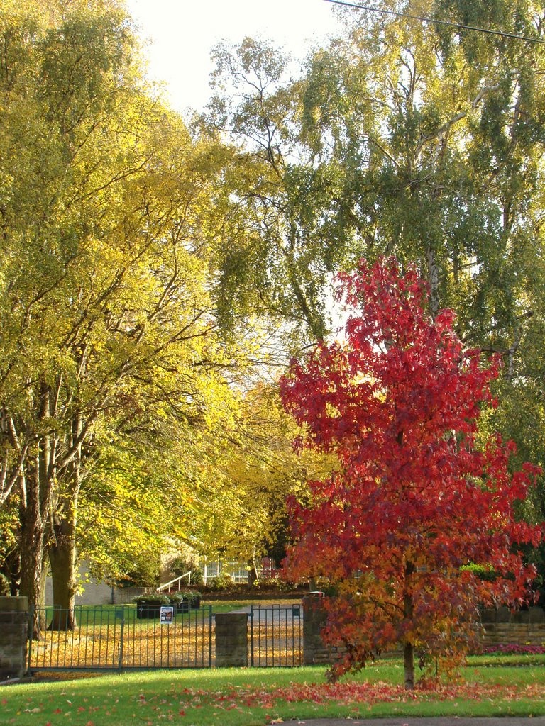 Autumn colours at the entrance to Ecclesfield Park 3, Sheffield S35