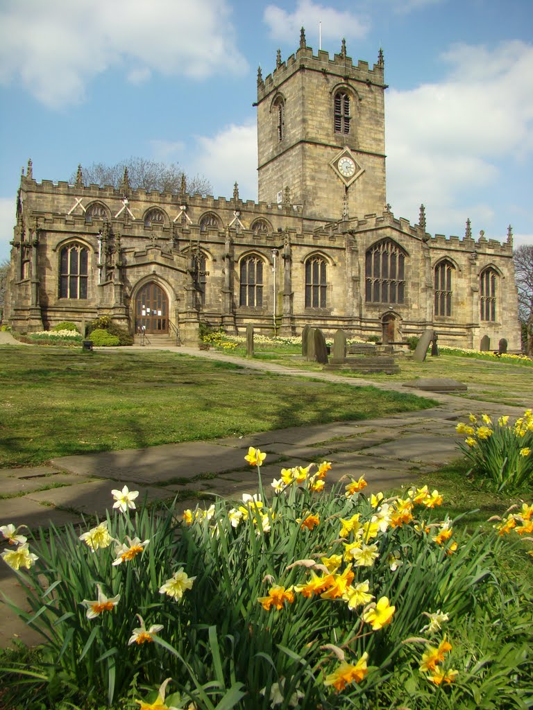 St. Marys church and Daffodils, Ecclesfield, Sheffield S35
