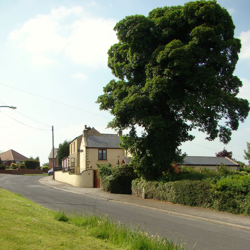 Potter Hill Lane, High Green, Sheffield S35