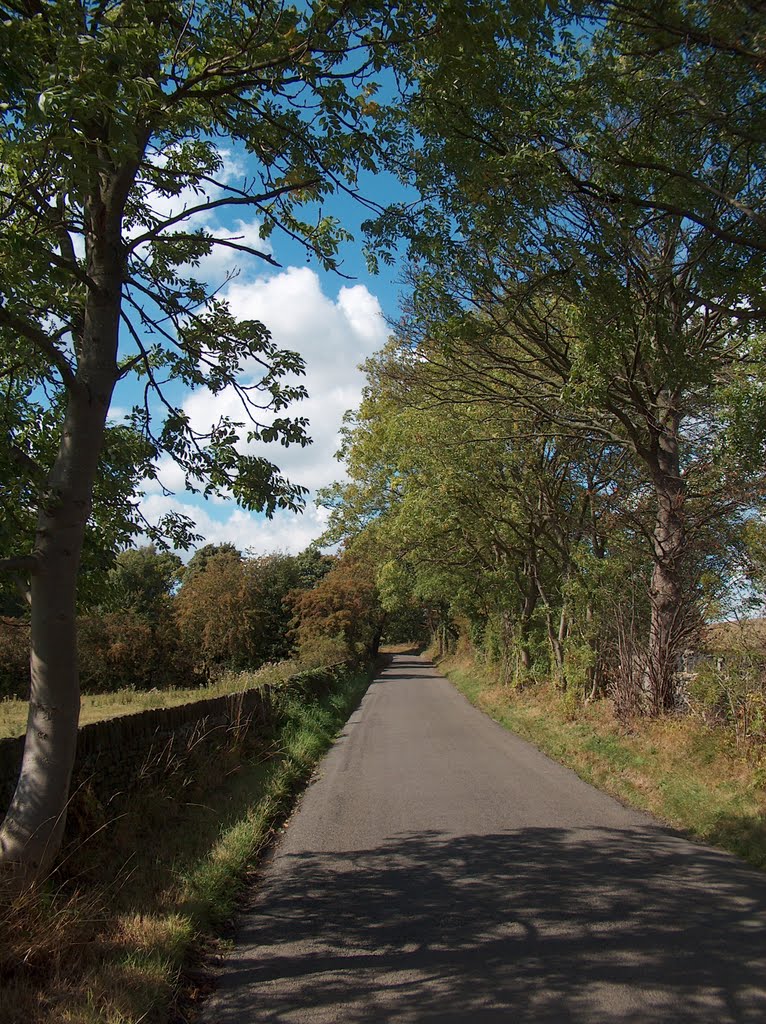 Elliott Lane near Whitley, Sheffield