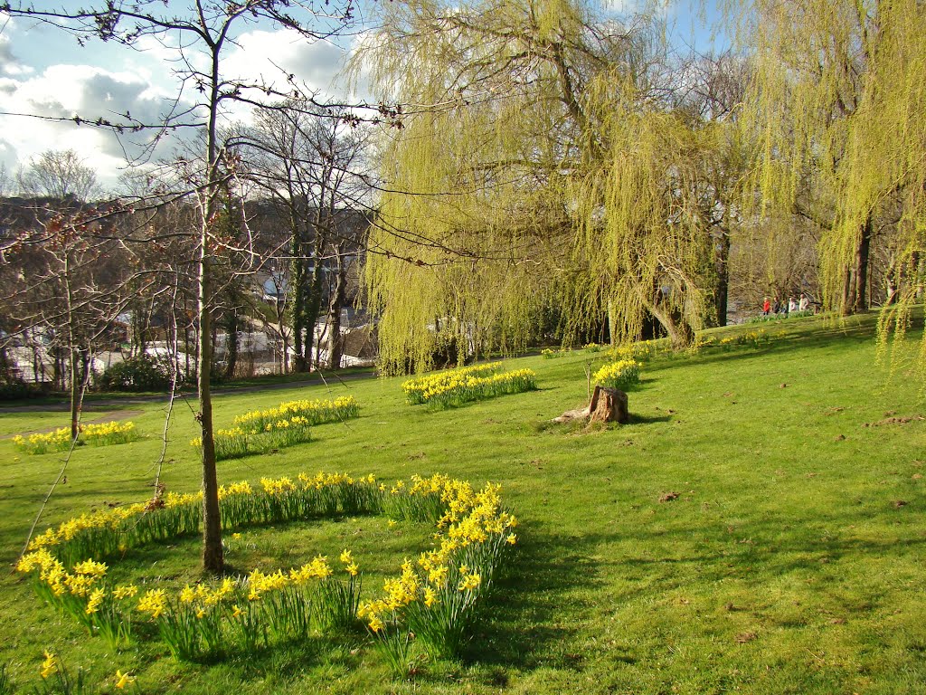 Springtime scene on Chapeltown Park slope, Sheffield S35