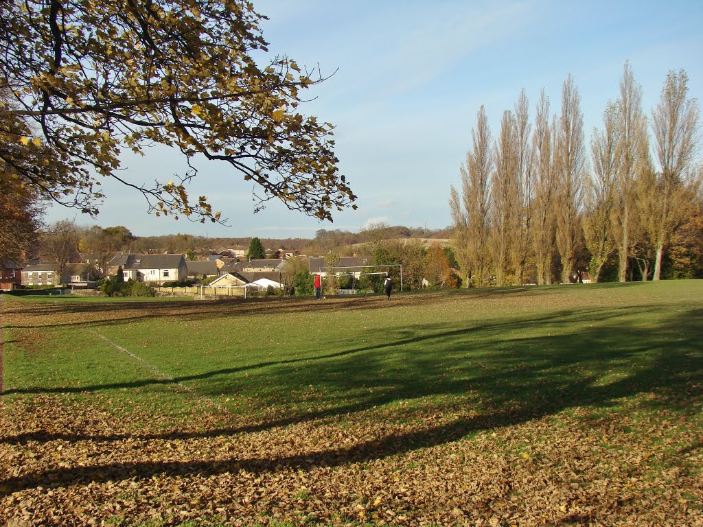 Late autumn in Mortomley Park, High Green, Sheffield S35