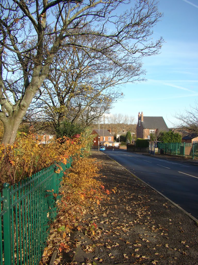 Greengate Lane scene on the edge of Mortomley Park, High Green, Sheffield S35