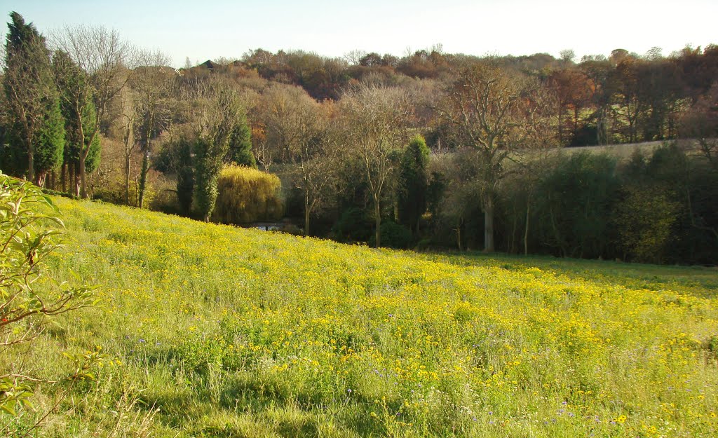Looking due south in late autumn from Springwood Lane, High Green, Sheffield S35