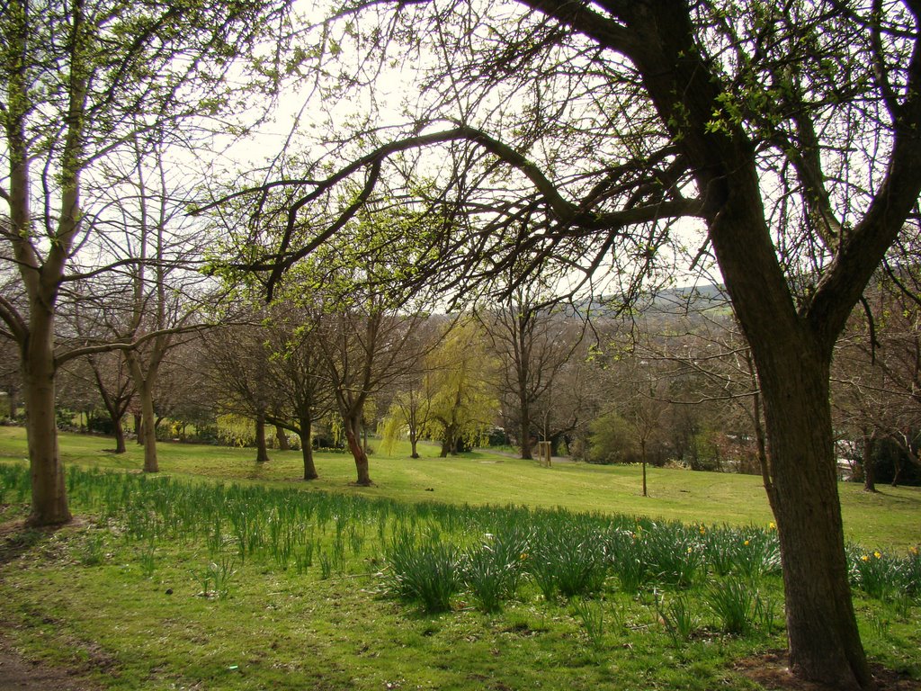 Chapeltown Park in early spring, Sheffield S35