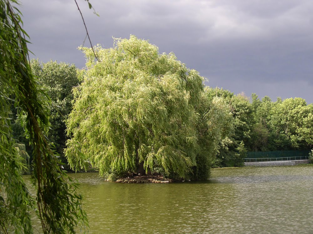 Tó a vihar előtt / A lake before the storm