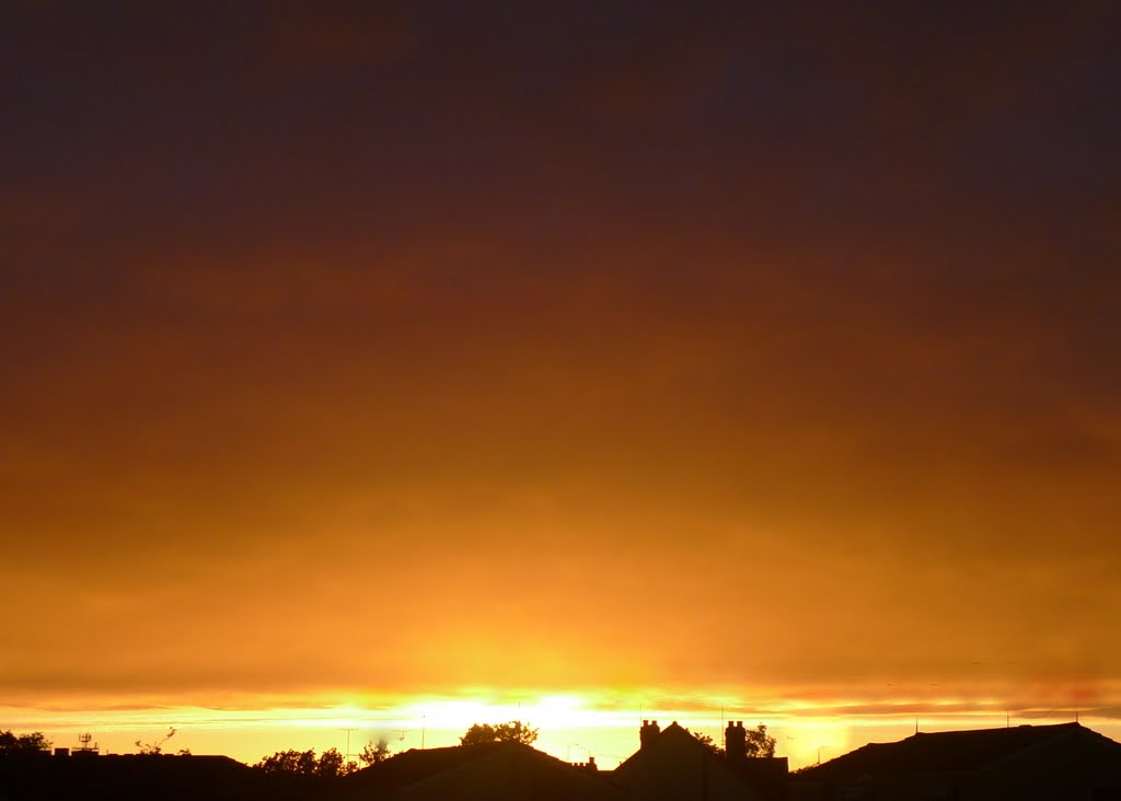 Chelmsford sunset