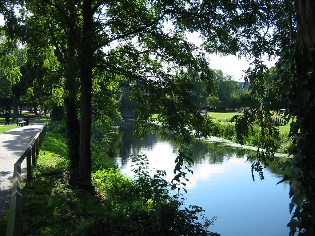 River seen from the shade