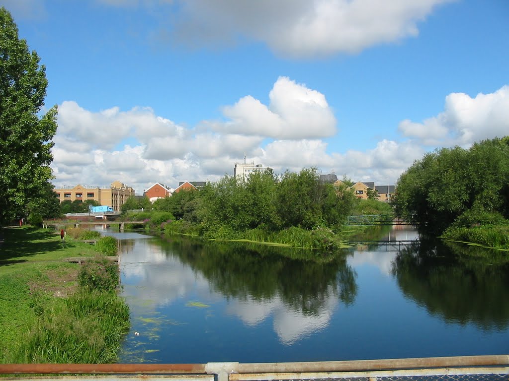 Fork in the river