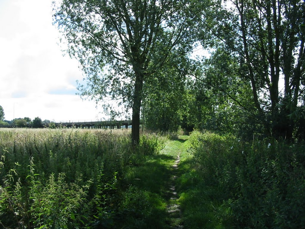 Track by the river