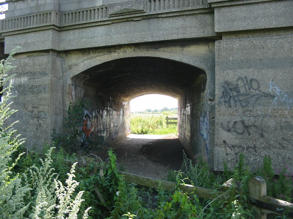 Under the Chelmer Road Bridge