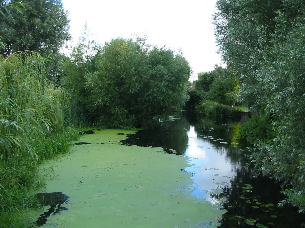 View from the bridge