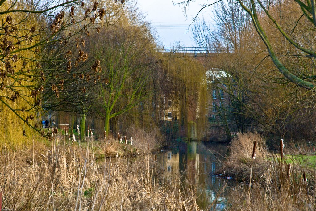 Central Park Chelmsford - River Chelmer