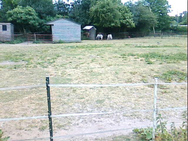 The Sanctuary