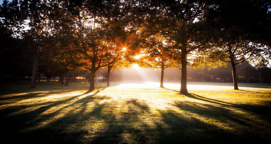 Autumnal Mist - Chelmsford City