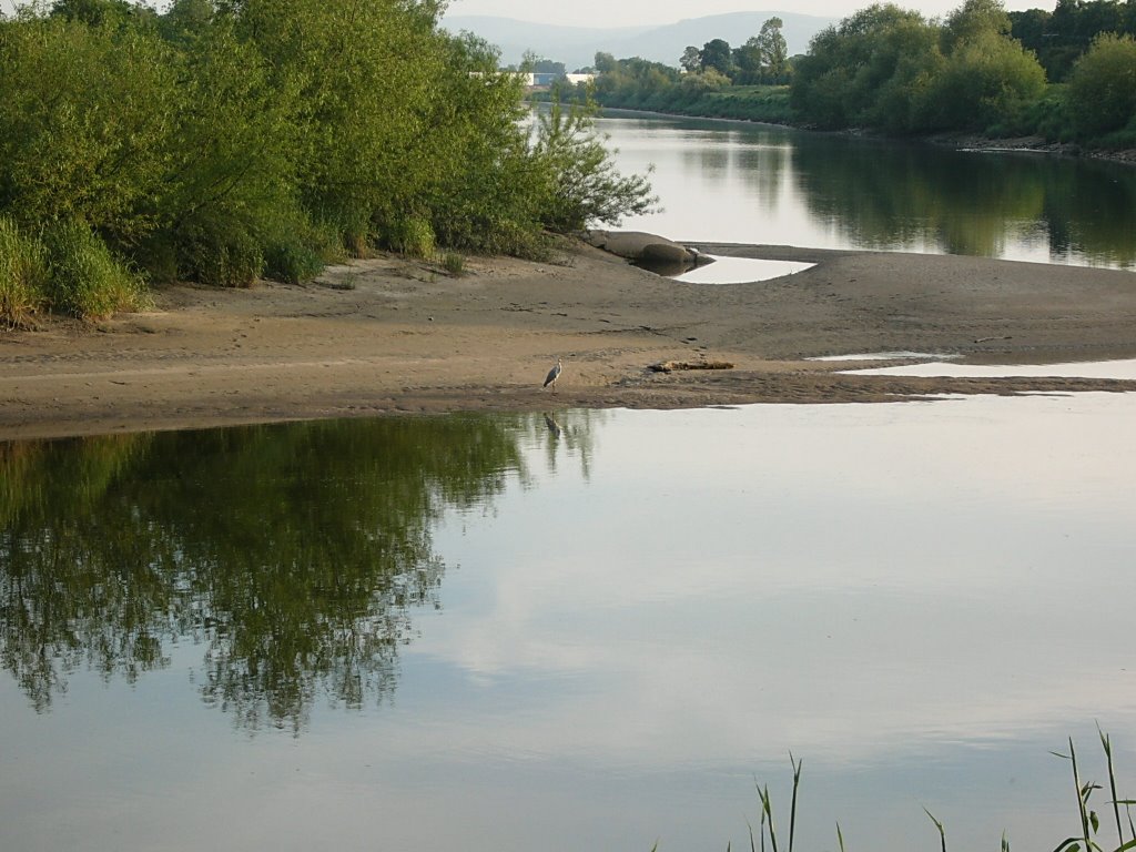 River Dee