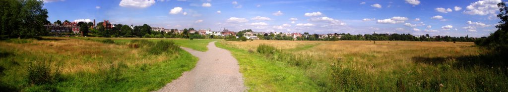 Earls Eye Meadow