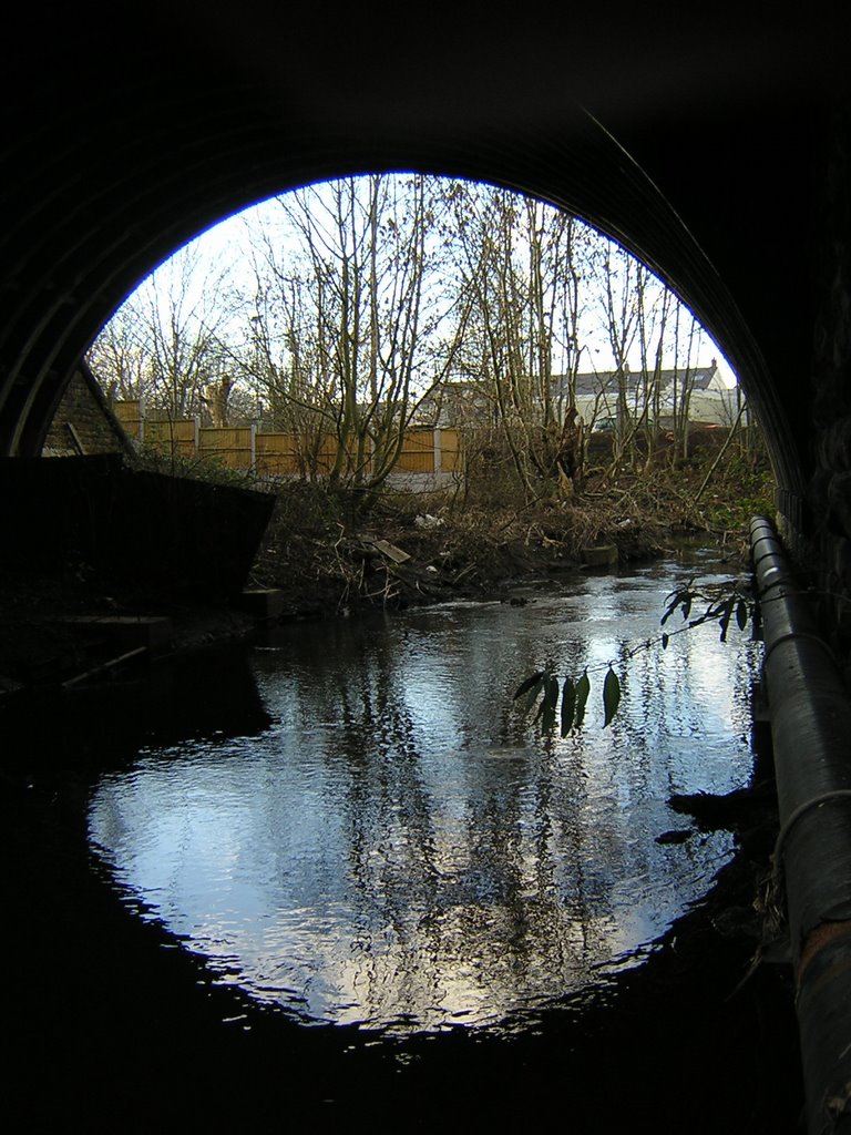 Under the railway bridge