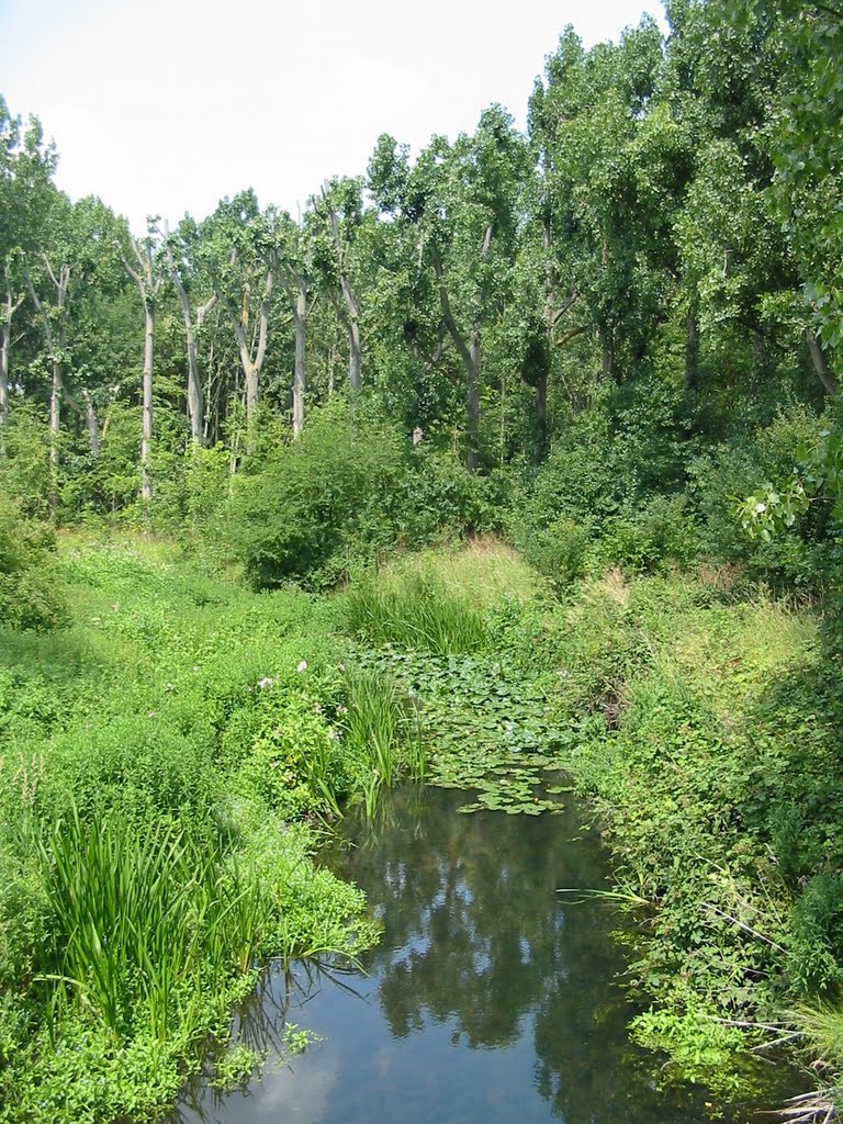 View from the bridge