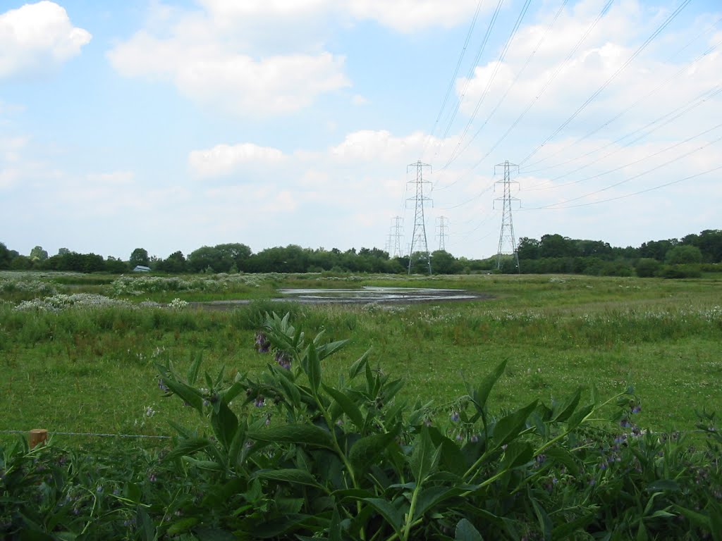 View from Snipe Hide
