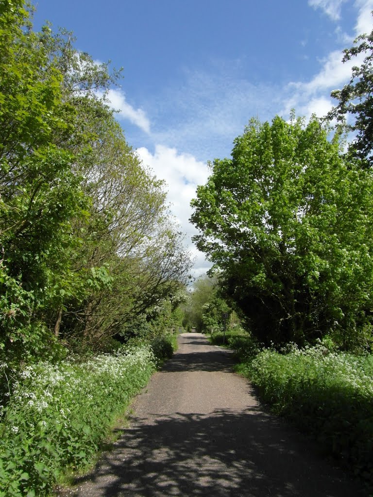 Lee Valley Park