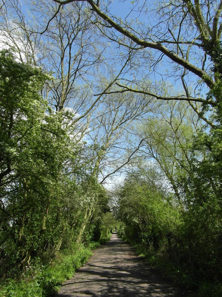 Lee Valley Park