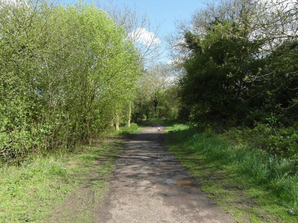 Lee Valley Park