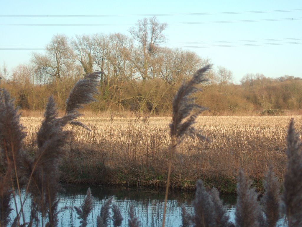 Lee Navigation, Turnford