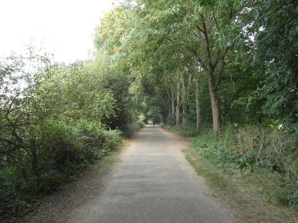 Lee Valley Park