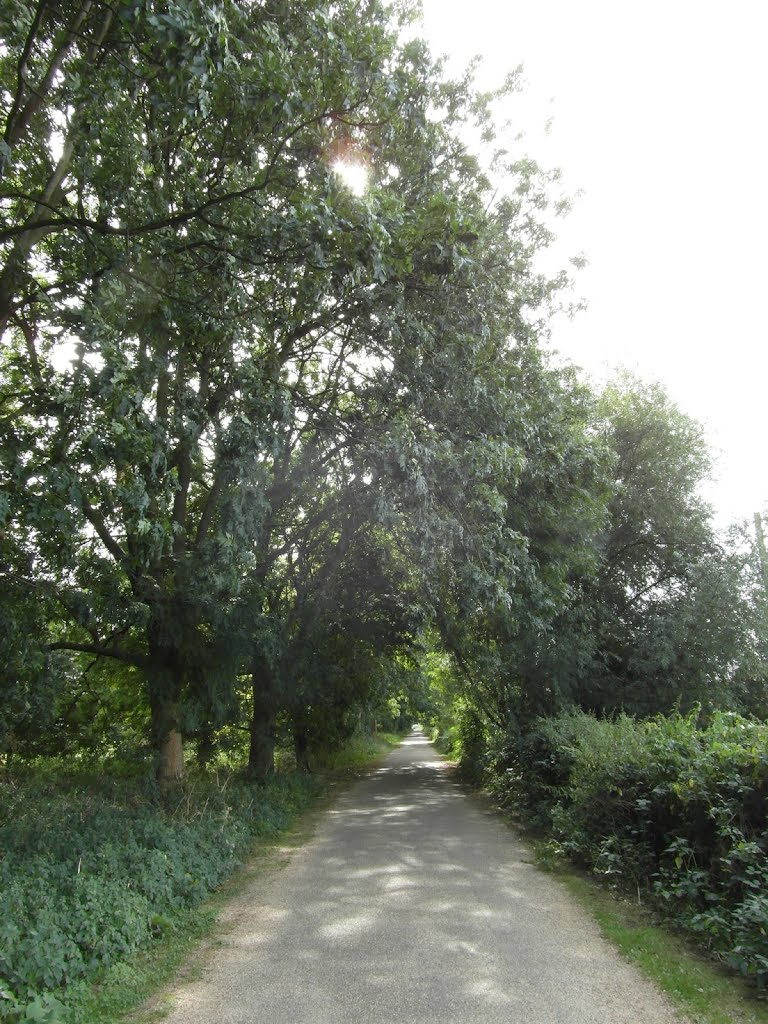 Lee Valley Park