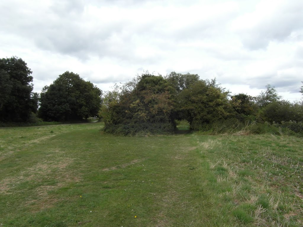 Lee Valley Park